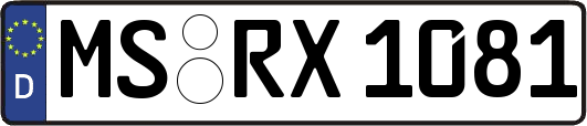 MS-RX1081