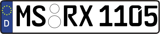 MS-RX1105
