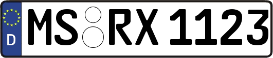 MS-RX1123