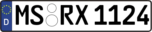 MS-RX1124