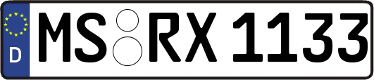 MS-RX1133