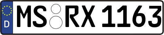 MS-RX1163