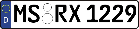 MS-RX1229