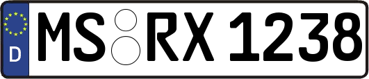 MS-RX1238