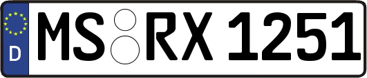 MS-RX1251