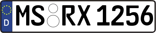 MS-RX1256
