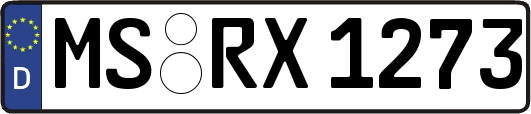 MS-RX1273