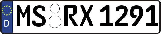 MS-RX1291