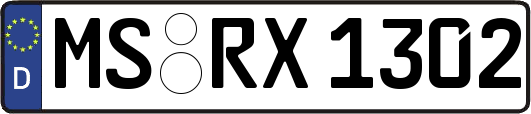 MS-RX1302
