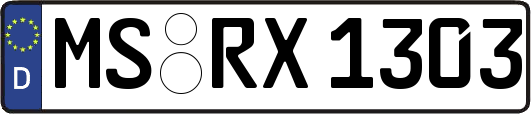 MS-RX1303