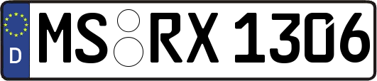 MS-RX1306