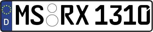 MS-RX1310