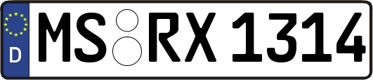 MS-RX1314