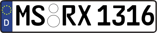 MS-RX1316