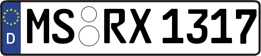 MS-RX1317