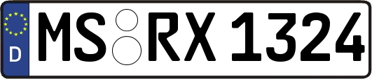 MS-RX1324
