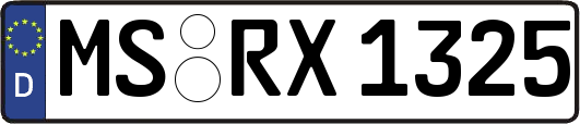 MS-RX1325