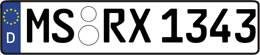 MS-RX1343