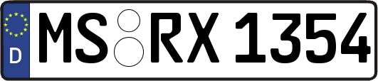 MS-RX1354