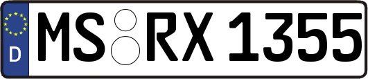 MS-RX1355