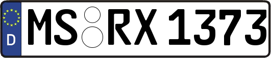 MS-RX1373