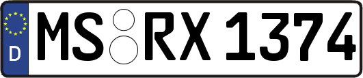 MS-RX1374