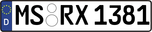 MS-RX1381