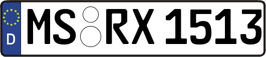 MS-RX1513