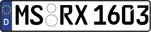 MS-RX1603