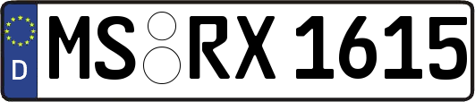 MS-RX1615