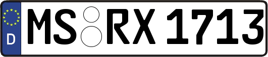 MS-RX1713
