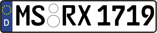 MS-RX1719