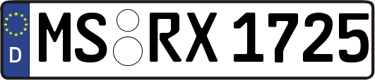 MS-RX1725