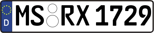 MS-RX1729