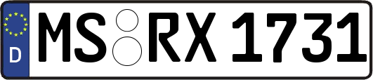 MS-RX1731