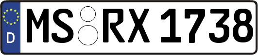 MS-RX1738