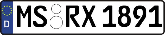 MS-RX1891
