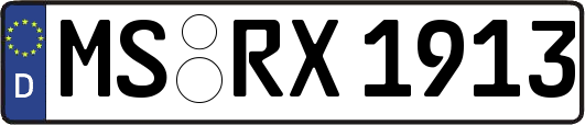 MS-RX1913