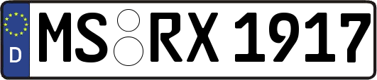 MS-RX1917