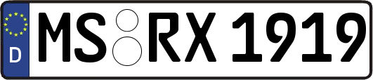 MS-RX1919