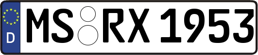 MS-RX1953
