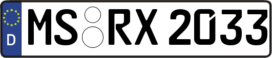 MS-RX2033