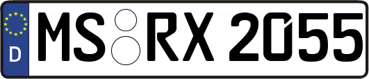 MS-RX2055