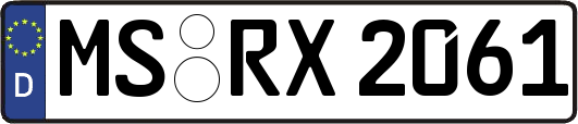 MS-RX2061