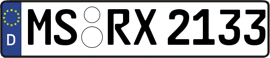MS-RX2133