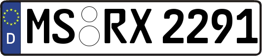 MS-RX2291