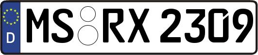 MS-RX2309
