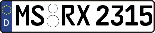 MS-RX2315