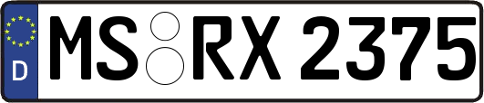 MS-RX2375