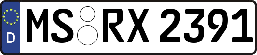 MS-RX2391